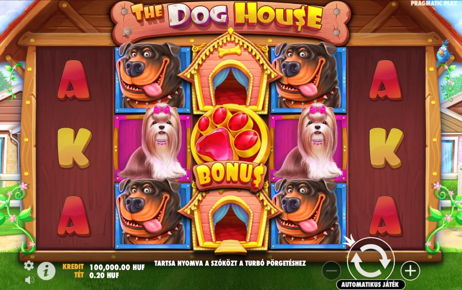 The dog house slot